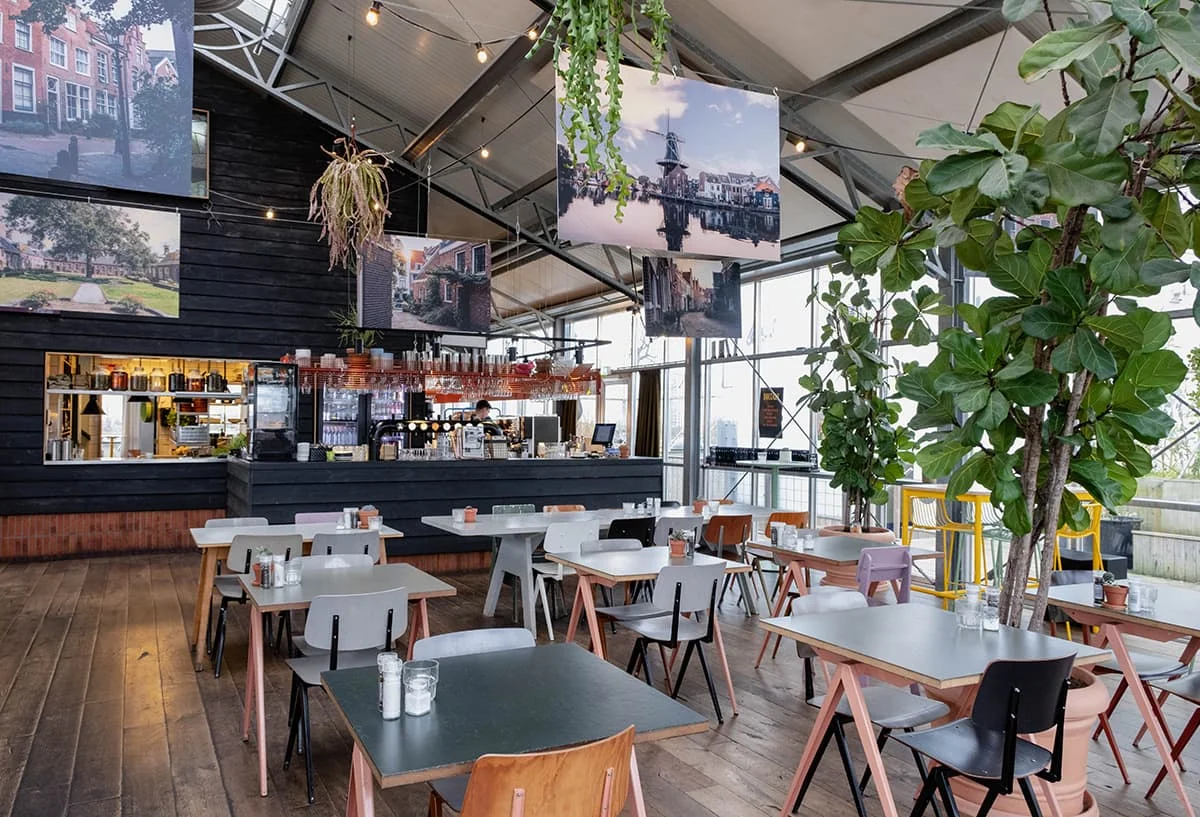 Modern Rooftop Dining